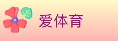 爱体育 logo
